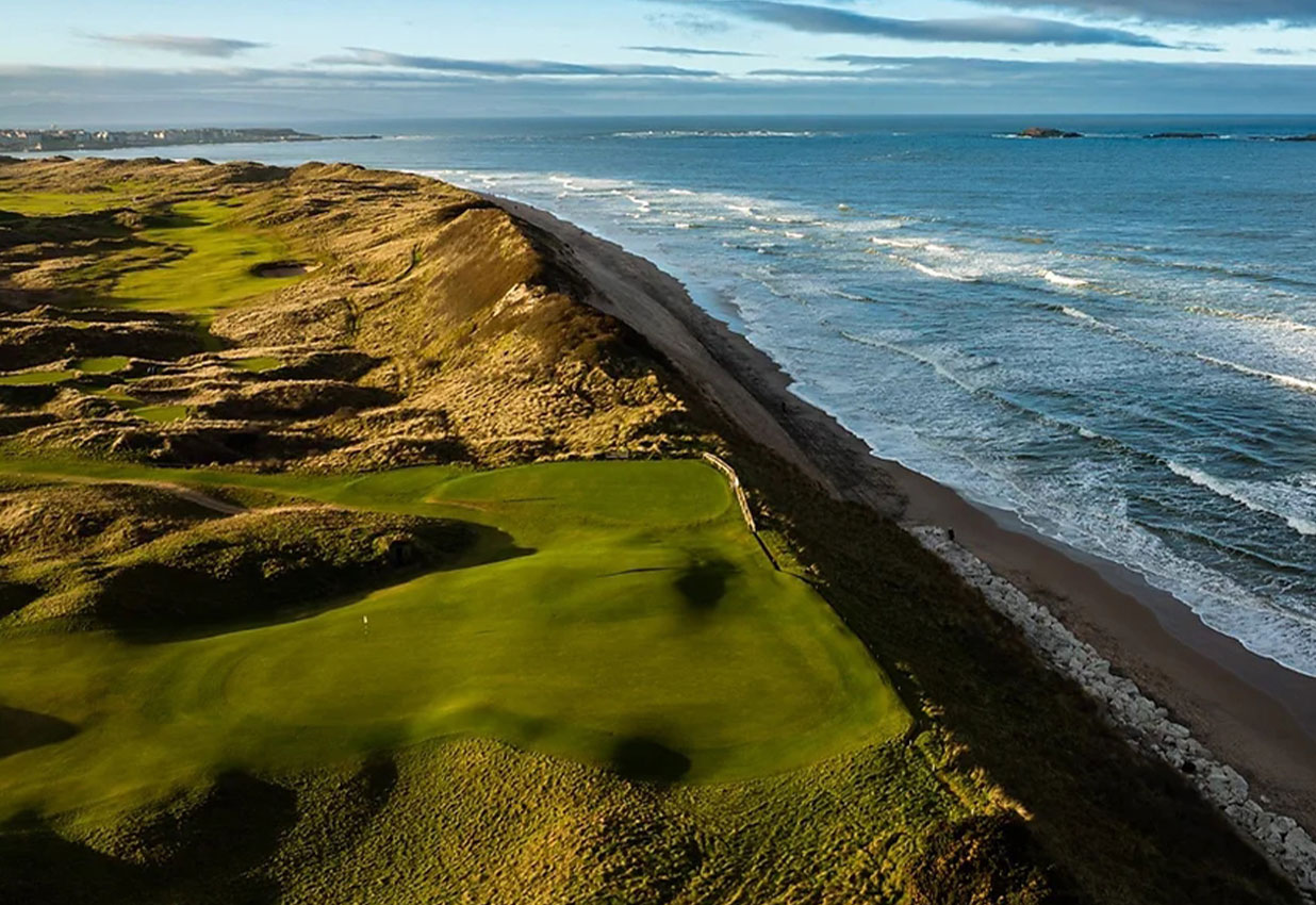 ROYAL-PORTRUSH